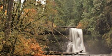 Beyond the Brochure: Unveiling Hidden Gems in US National Forests - Cover Image