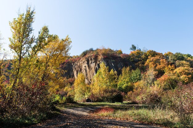 A panoramic view of a less-known hiking trail in a US National Forest during autumn. The trail winds through colorful trees, with a distant mountain range gracing the horizon.
