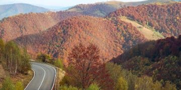America's Scenic Byways: Plan Your 2025 Road Trip - Cover Image