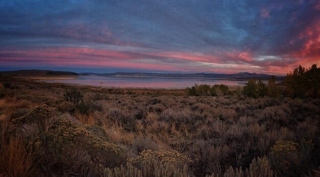 A panoramic view of a less-crowded national park at dawn, featuring a wide open space, perhaps a valley or plain, with wildlife grazing in the distance. The light should be soft and inviting, emphasizing the untouched nature of the park.