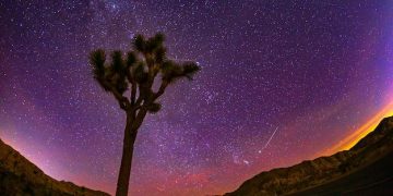 Dark Sky Destinations 2025: Best Stargazing Spots in the USA - Cover Image