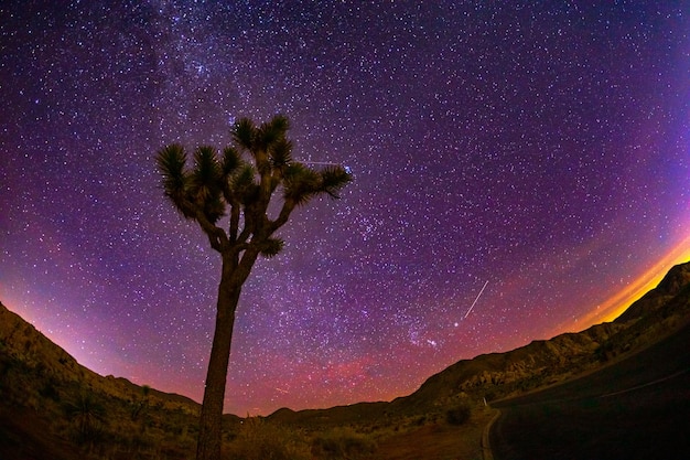 Dark Sky Destinations 2025: Best Stargazing Spots in the USA