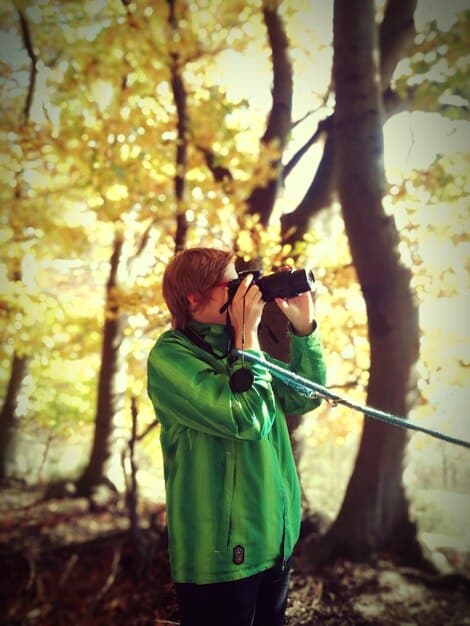 A birder wearing a green jacket and holding binoculars stands in a dense forest, looking up at the treetops. Sunlight filters through the canopy, highlighting various bird species perched on the branches.