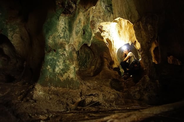 An interior shot of Mammoth Cave in Kentucky. The photo shows one of the cave's large passageways, with a group of people walking along a path illuminated by dim lights. The rough, textured walls of the cave and its impressive scale are clearly visible.