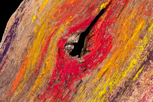 A close-up of vibrant petrified wood, showcasing its intricate details and colors against a soft, desert background, symbolizing geological time and artistry.