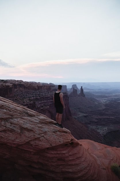 A lone hiker standing on a vista overlooking a vast, rugged canyon with dramatic lighting, conveying a sense of solitude and epic scale in a remote area.