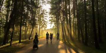 Sustainable Travel: Reduce Your Environmental Impact by 40% - Cover Image