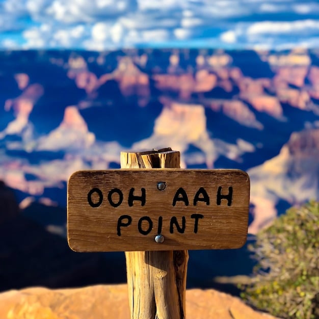 A close-up of a US National Park Pass, highlighting the validity dates and the park's logo. Focus on the details and textures of the pass itself.
