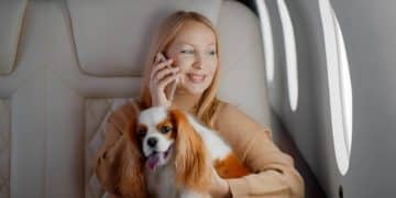 New US Pet Travel Regulations: A Comprehensive Guide for 2024 - Cover Image