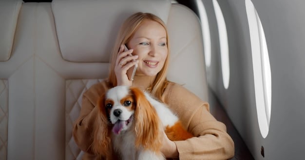 New US Pet Travel Regulations: A Comprehensive Guide for 2024