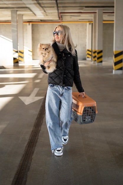 New Regulations for Flying with Pets in the US: What You Need to Know