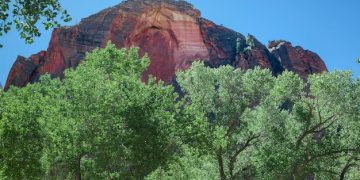 Sustainable Travel USA 2025: Eco-Friendly Adventures Guide - Cover Image