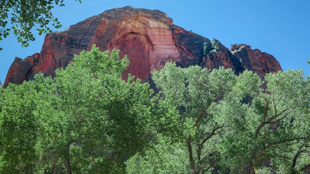 Sustainable Travel USA 2025: Eco-Friendly Adventures Guide