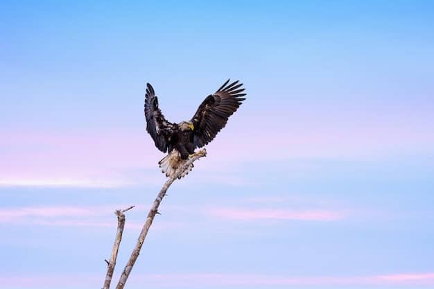 A majestic bald eagle soaring over a vast, open landscape with a clear blue sky, symbolizing freedom and the importance of wildlife preservation.