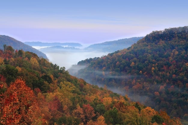 A misty morning view over the Blue Ridge Mountains from a scenic overlook on the Blue Ridge Parkway, with vibrant fall foliage in the foreground.