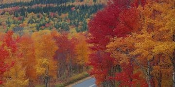 Top 5 National Park Road Trips 2025: Maximize Vacation Top 5 National Park Road Trips 2025: Maximize Vacation - Cover Image