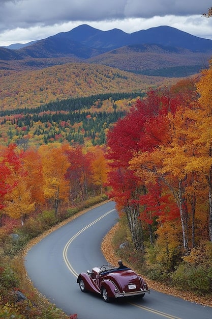 Top 5 National Park Road Trips 2025: Maximize Vacation