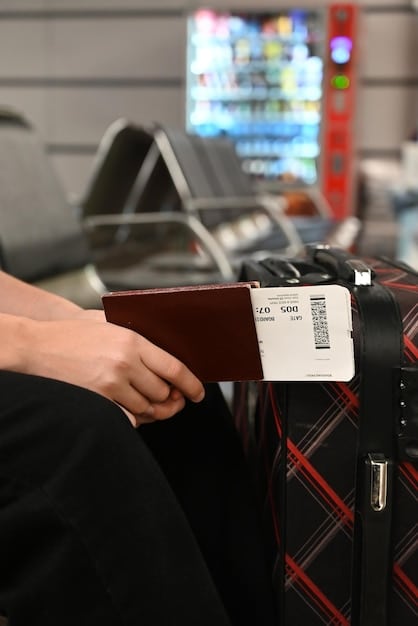 US Passport Ready? Avoid 2025 Delays with Renewal Tips