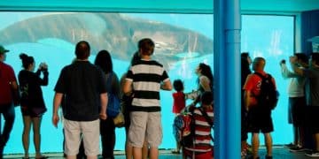 US Visa Requirements 2025: What Travelers Need to Know - Cover Image